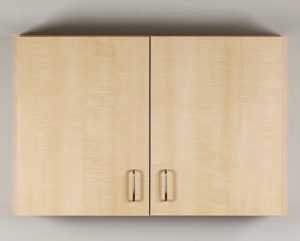 Wall Cabinet with 2 Doors
