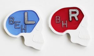 Skull Markers