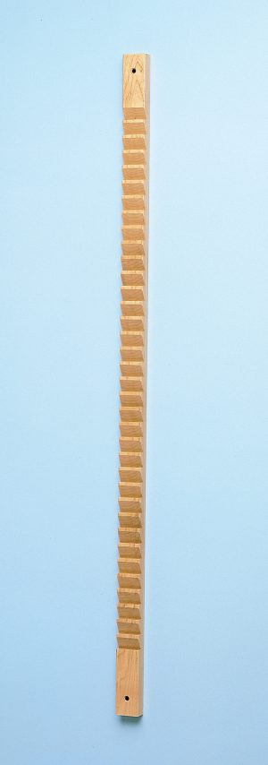 Model 760 - Shoulder Finger Ladder